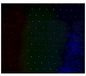 Картинка Световая сетка Neon-night Сеть светодиодная 1х1.5 м [215-119]