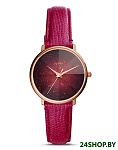 Картинка Наручные часы Fossil Prismatic Galaxy ES4731