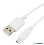Картинка Кабель Cablexpert CC-mUSB2-AMBM-1MW