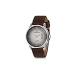 Картинка Наручные часы Daniel Klein DK11714-4