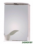 Картинка Шкаф с зеркалом для ванной Onika Лидия 50.01 L (205003)
