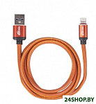 Картинка Кабель Ritmix RCC-425