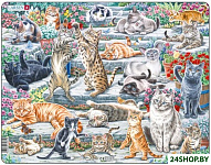 Кошки FH51