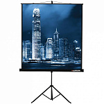 Картинка Проекционный экран Lumien Master View 213x213 (LMV-100104)