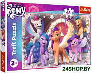 Радость Пони My Little Pony Maxi 14338 (24 эл)