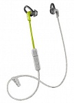 Картинка Наушники с микрофоном Plantronics BackBeat Fit 305 (серый/зеленый)