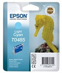 Картинка Картридж для принтера Epson EPT04854010 (C13T04854010)