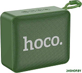 BS51 (зеленый)