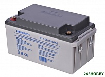 Картинка Аккумулятор для ИБП Ippon IP12-65 (12В/65 Ач)