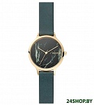 Картинка Наручные часы Skagen SKW2720