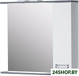 Шкаф с зеркалом Лофт 80 [62.23]