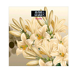 Картинка Напольные весы Viconte VC-526-02