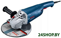 GWS 2200 Professional 06018C1120