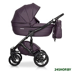Картинка Универсальная коляска RIKO Naturo Ecco (2 в 1, 01 Plum)