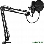 Картинка Микрофон проводной SunWind SW-SM400G (чёрный)