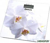 Картинка Весы напольные Sakura SA-5065WF