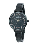 Картинка Наручные часы Daniel Klein DK12378-4