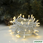 Нить 50 LED 5м (теплый белый) 3556773