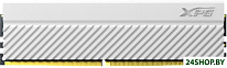 XPG GAMMIX D45 16ГБ DDR4 3200 МГц AX4U320016G16A-CWHD45