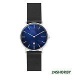 Картинка Наручные часы Skagen SKW6471