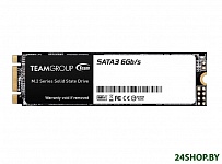 Картинка SSD Team MS30 256GB TM8PS7256G0C101