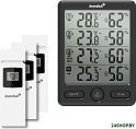 Метеостанция Levenhuk Wezzer PLUS LP20 78892