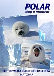 Картинка Фотобумага Polar матовая 10x15, 200 г/м2, 100 л [A6M8100100]