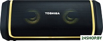 Картинка Беспроводная колонка Toshiba TY-WSP150