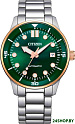 Наручные часы Citizen NJ0196-80X