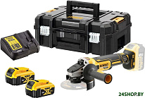 DCG405P2 (с 2-мя АКБ, кейс)