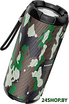 Картинка Беспроводная колонка Borofone BR15 (камуфляж)