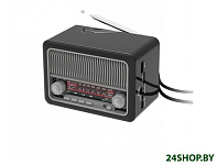 Картинка Радиоприемник Ritmix RPR-035