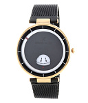 Картинка Наручные часы Daniel Klein DK11973-2