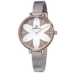 Картинка Наручные часы Daniel Klein DK11811-6