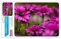 Картинка Коврик для мыши Buro BU-M20045