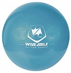 Картинка Мяч гимнастический WinMax Sport 75 см WMF09648E (фиолетовый)