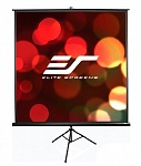 Картинка Проекционный экран Elite Screens Tripod 160x163 [T85UWS1]