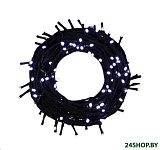 Картинка Светодиодная гирлянда Luazon Клип-лайт 2361685 (белый)