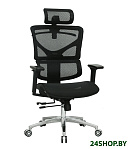 Картинка Кресло Evolution ERGO Mesh (черный)