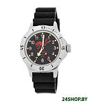 Картинка Наручные часы Восток Амфибия 120657