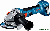 GWS 180-LI Professional 06019H9022 (без АКБ)