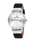 Картинка Наручные часы Daniel Klein DK12076-1
