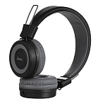 Картинка Наушники с микрофоном Hoco W16 (черный/серый)