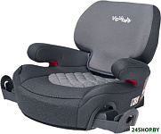 SeatFix (dove grey)