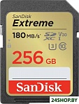 Extreme SDXC SDSDXVV-256G-GNCIN 256GB