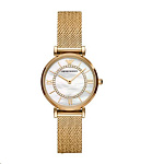 Картинка Наручные часы Emporio Armani AR11321