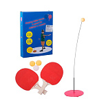 Картинка Настольный теннис Darvish DV-S-261