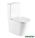 Картинка Унитаз WeltWasser Salzbach 001 GL-WT (белый глянец)