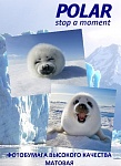 Картинка Фотобумага Polar матовая двухсторонняя A4, 250 г/м2, 50 л [A4D7873]