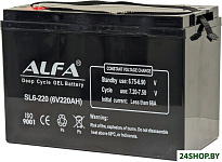 6V-220Ah(C20) L+ (220 А·ч)